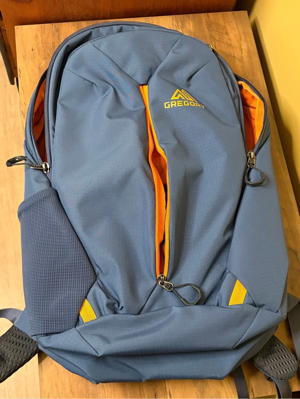 Gregory Rhune 20 Men's Blue Backpack with Orange Accents